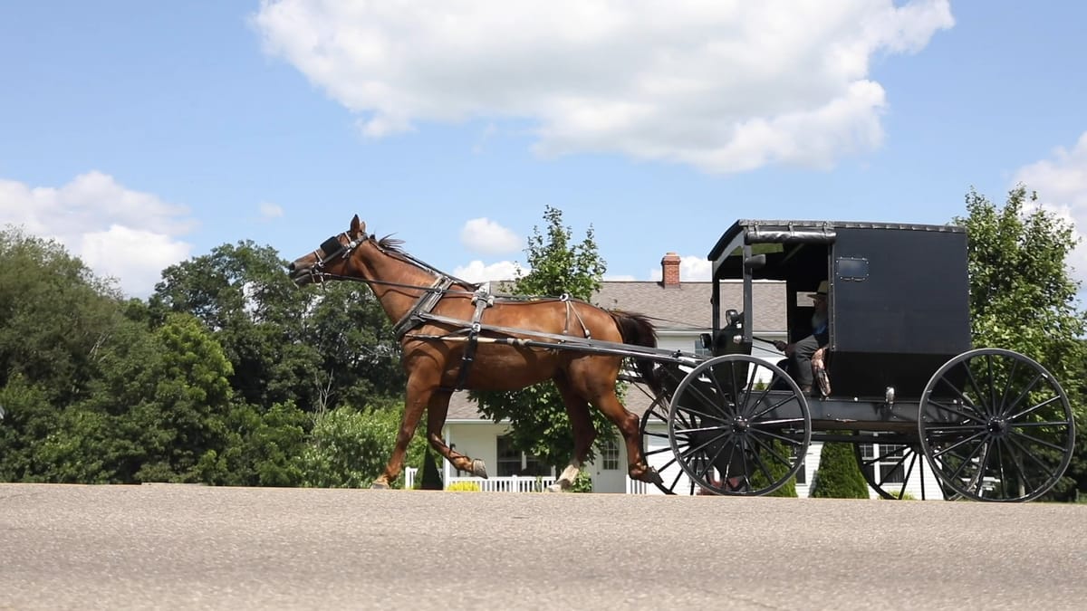 Amish horse and buggy passing a farmhouse in Holmes County, Ohio